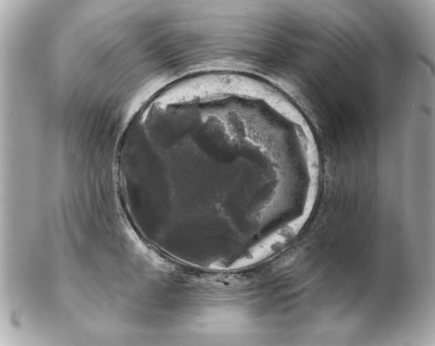 X0000102540998200808291838