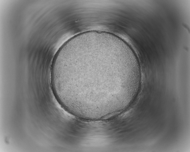 X0000102540999200808291838