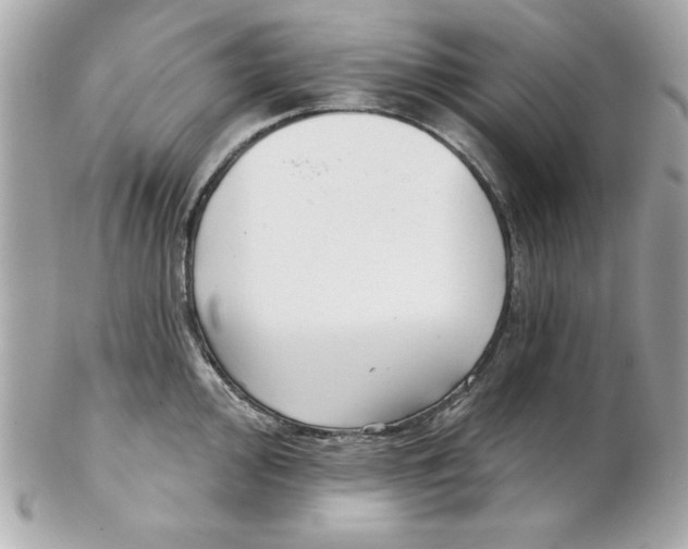 X0000102541000200808291838