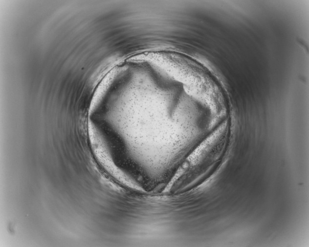 X0000102541001200808291838