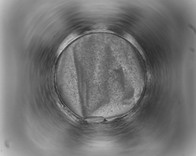 X0000102541002200808291838