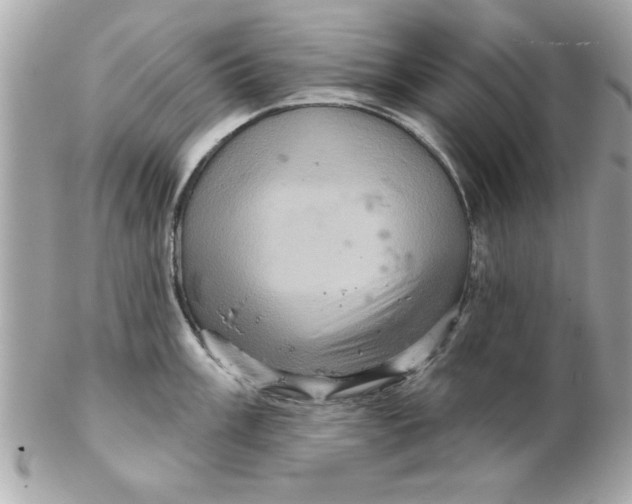 X0000102541003200808291838