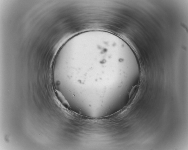 X0000102541004200808291838