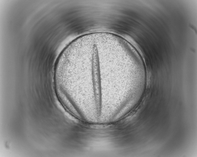 X0000102541005200808291838