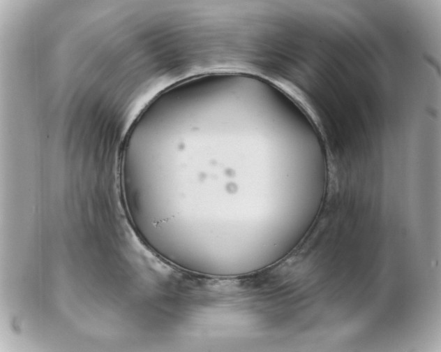 X0000102541006200808291838