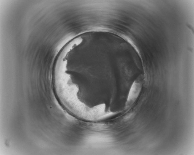 X0000102541007200808291838