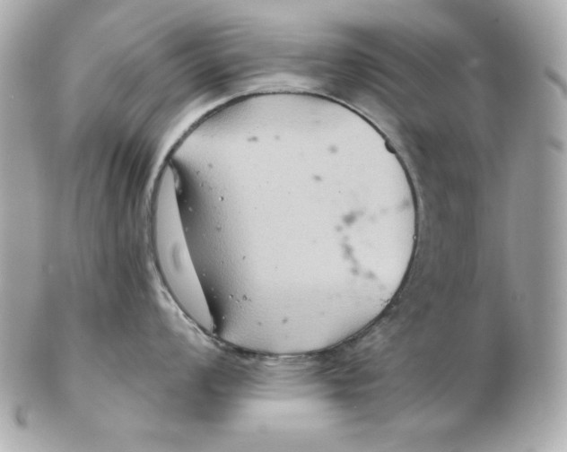 X0000102541008200808291838