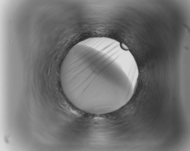 X0000102541009200808291837