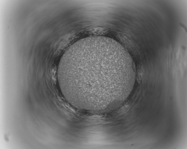 X0000102541010200808291837