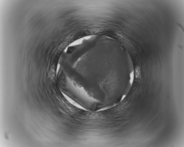 X0000102541011200808291837