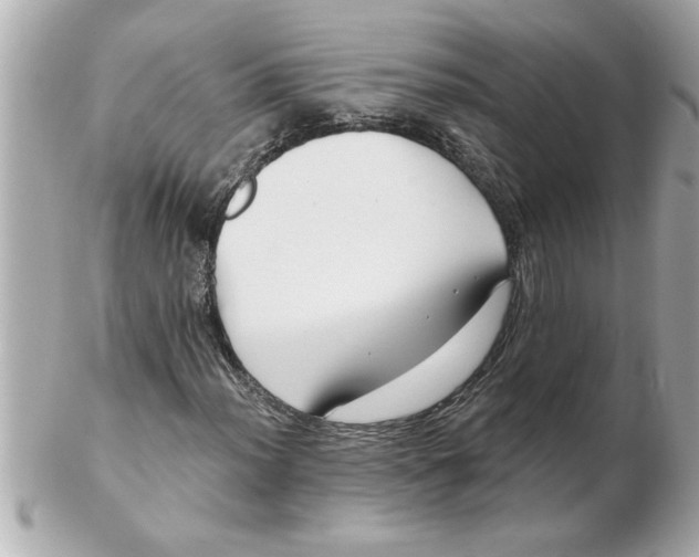 X0000102541012200808291837