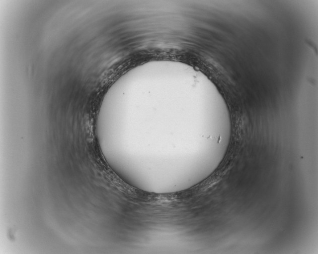 X0000102541013200808291837