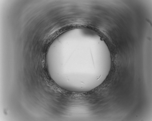 X0000102541015200808291837