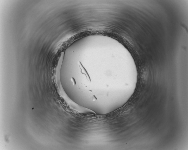 X0000102541016200808291837