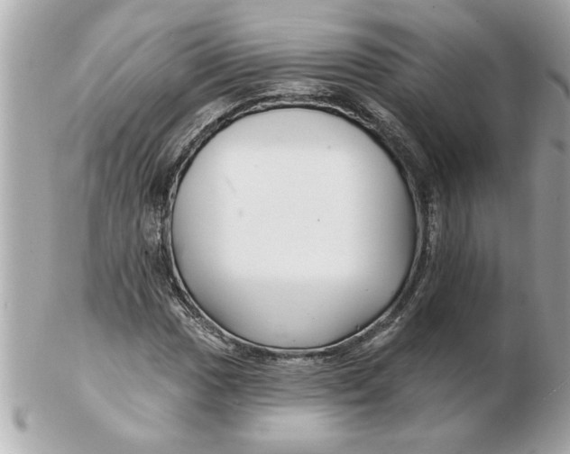 X0000102541017200808291837