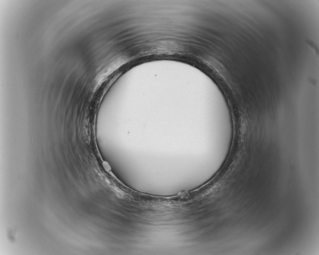 X0000102541018200808291837