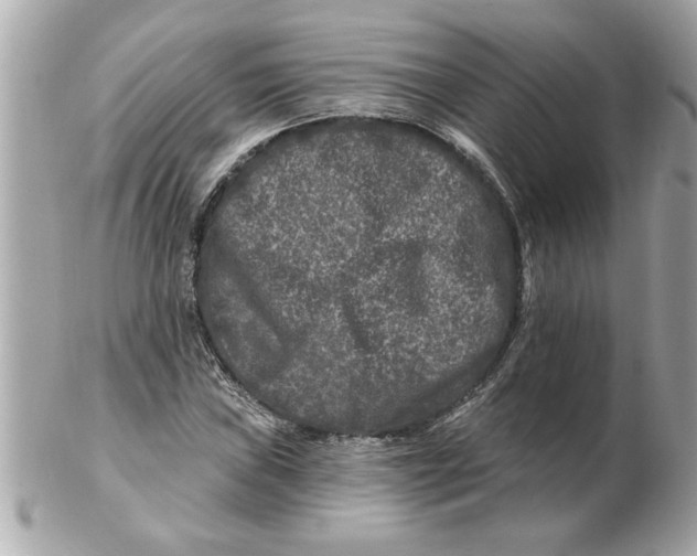 X0000102541019200808291837