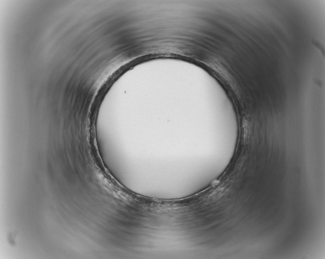 X0000102541020200808291837