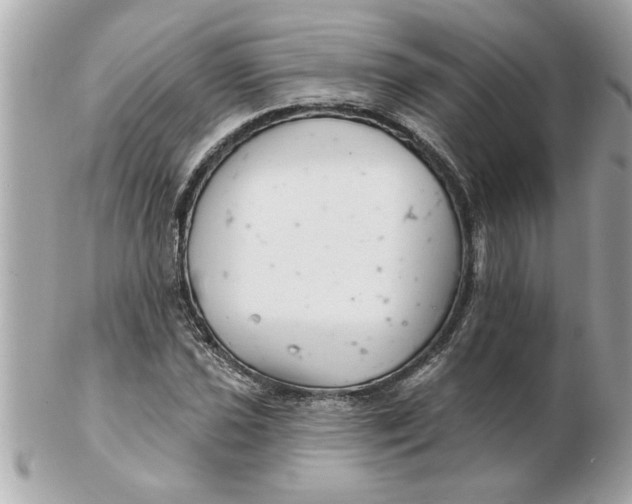 X0000102541021200808291837