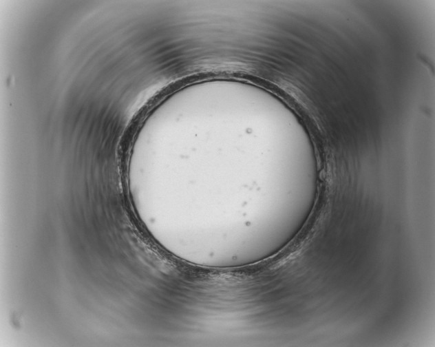 X0000102541022200808291837