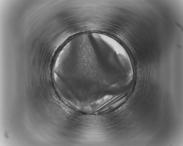 X0000102541023200808291837