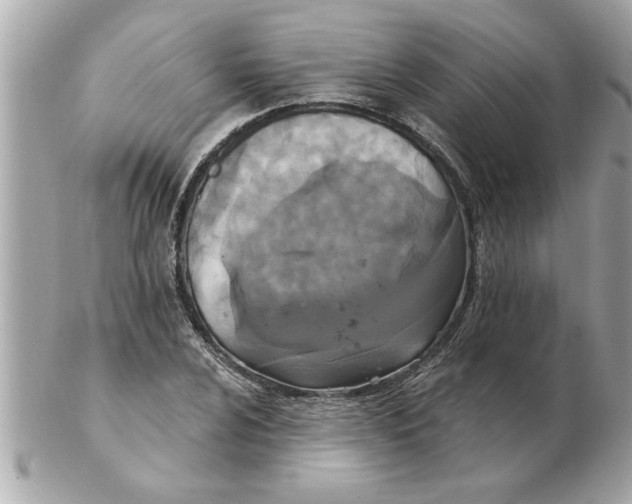 X0000102541024200808291837