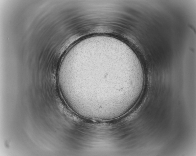 X0000102541025200808291837