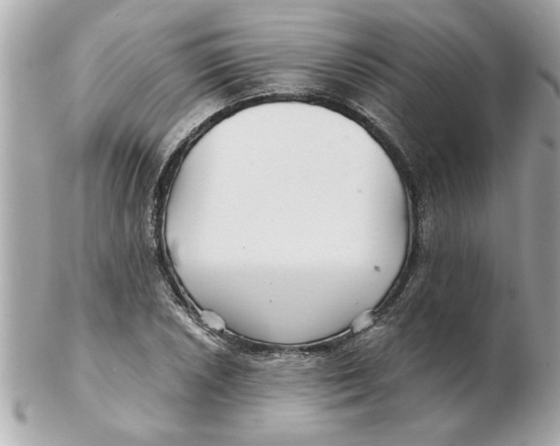 X0000102541026200808291837