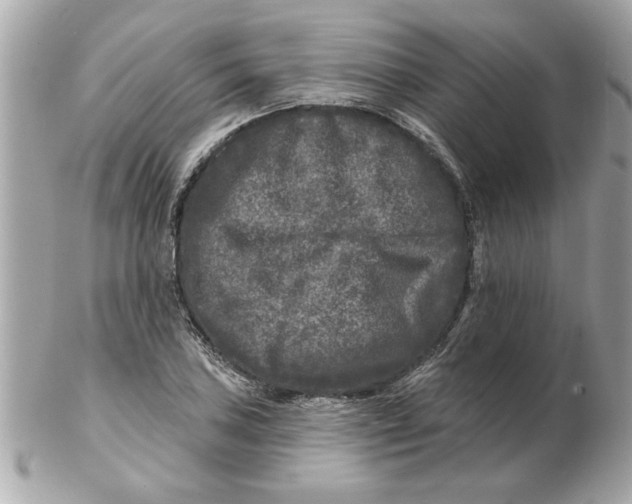 X0000102541027200808291837