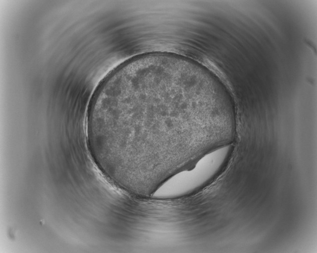 X0000102541028200808291837