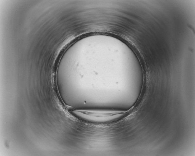 X0000102541029200808291837