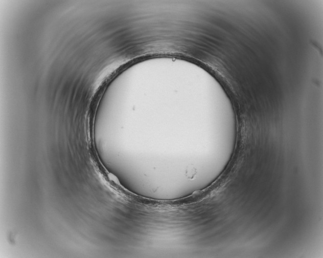 X0000102541030200808291837