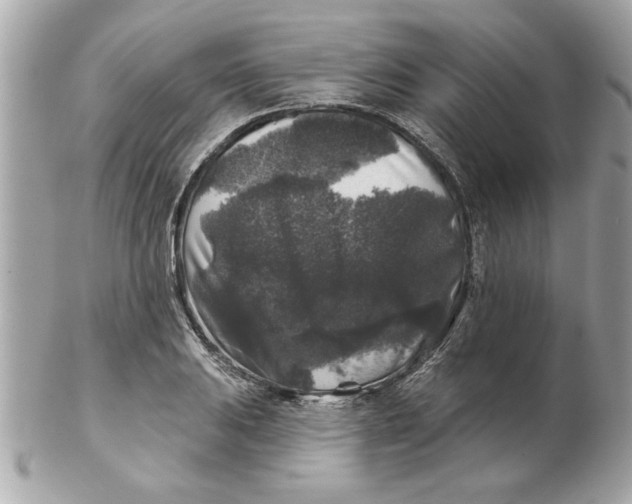 X0000102541031200808291837