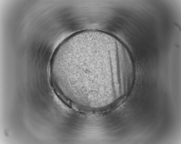 X0000102541032200808291837