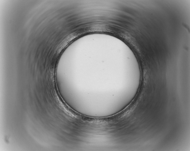 X0000102541033200808291837