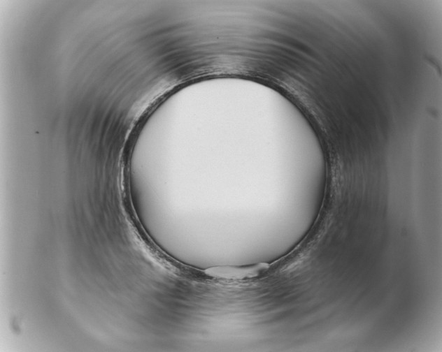 X0000102541034200808291837