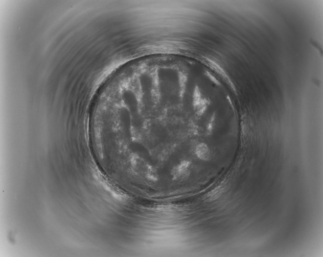 X0000102541035200808291837