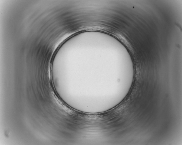 X0000102541036200808291837