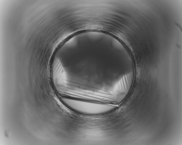 X0000102541037200808291837