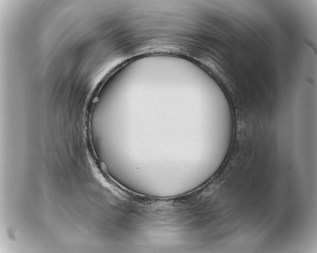 X0000102541038200808291837