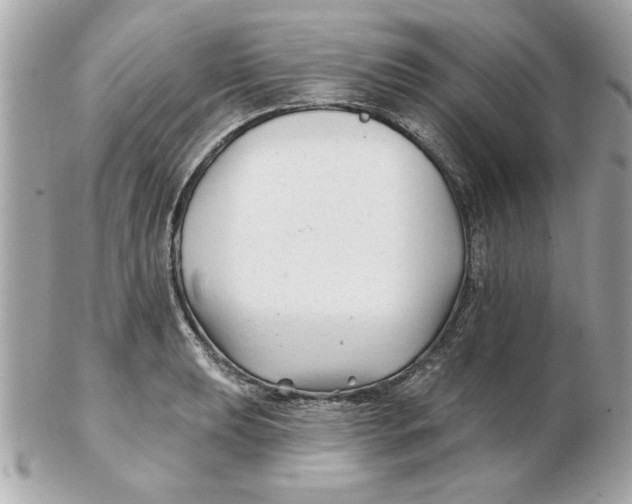 X0000102541039200808291838