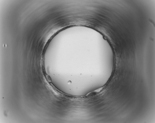 X0000102541040200808291838