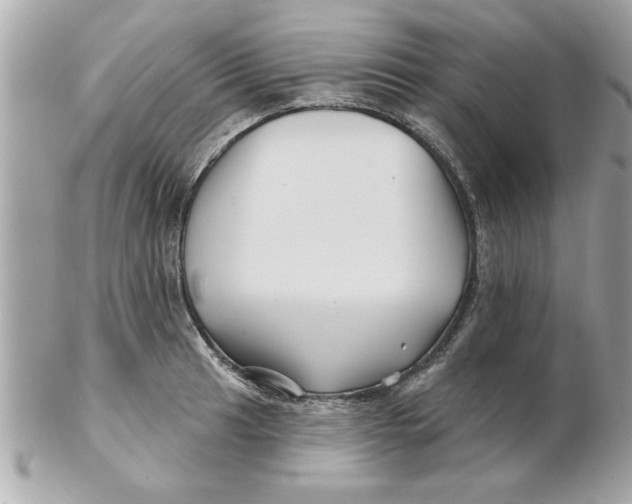 X0000102541041200808291838