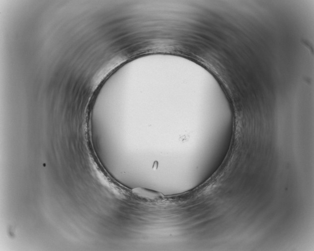 X0000102541042200808291838