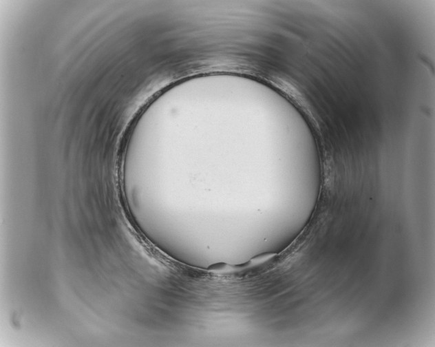 X0000102541043200808291838