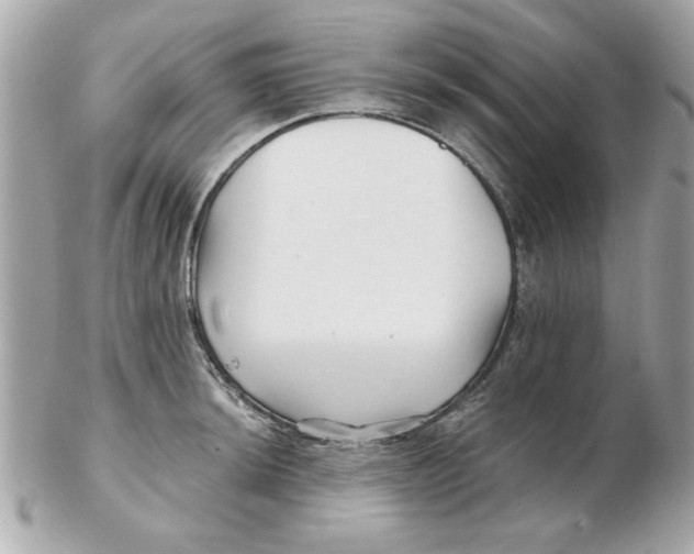 X0000102541044200808291838