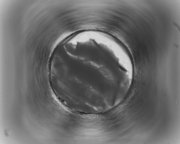 X0000102541045200808291838