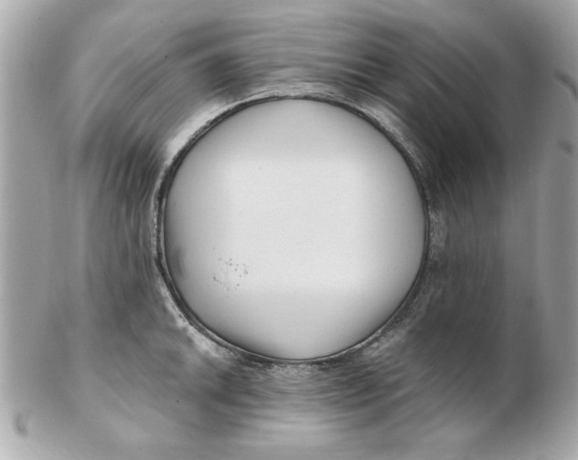 X0000102541046200808291838