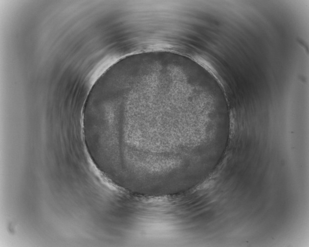 X0000102541047200808291838