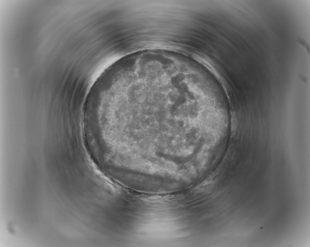 X0000102541048200808291838